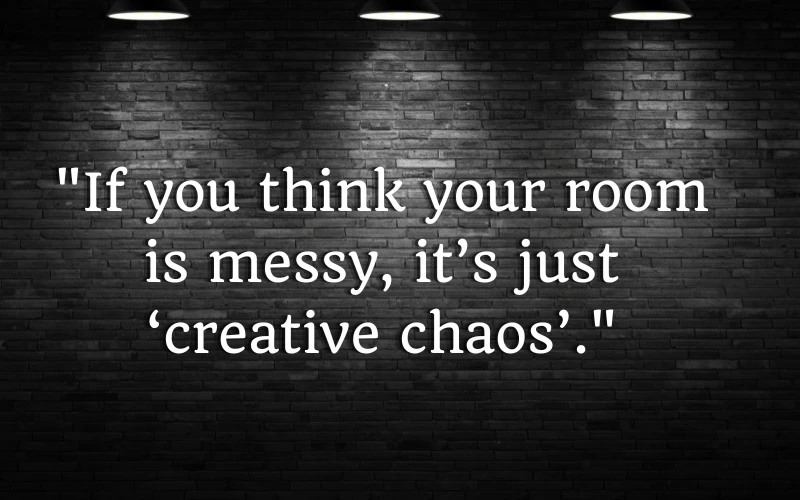 Funny Interior Decorating Quotes 